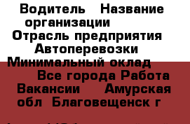 Водитель › Название организации ­ Ladya › Отрасль предприятия ­ Автоперевозки › Минимальный оклад ­ 40 000 - Все города Работа » Вакансии   . Амурская обл.,Благовещенск г.